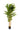 Artificial 6ft Bamboo Tree Geko Products