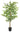 Artificial Ficus Tree With Variegation Leaves 150cm Geko Products