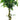 Artificial Ficus Tree With Twisted Trunk 137cm Geko Products