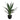 Artificial Yucca Plant, 60cm Geko Products