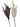 Artificial Luxury Pampas Stem Brown & Cream, 101cm Geko Products